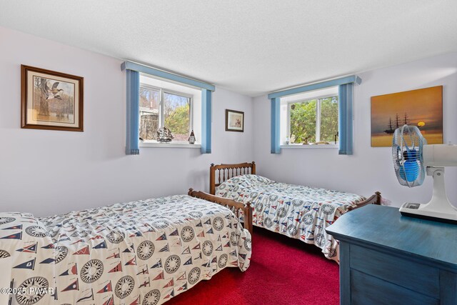 4 Shore Line Dr, Lakeville, PA 18438 - photo 41