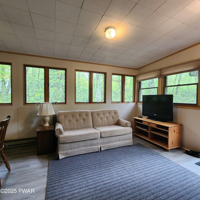 802 Placer Ct, Lords Valley, PA 18428 - living room featuring wood finished floors, baseboard heating, and baseboards