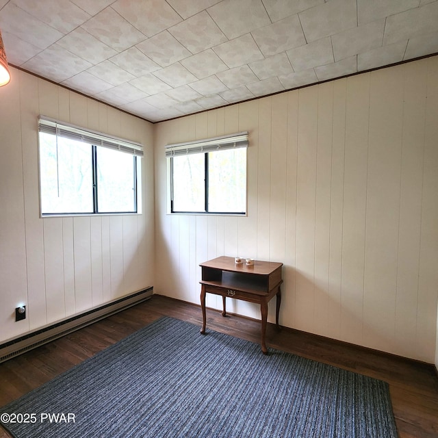 802 Placer Ct, Lords Valley, PA 18428 - empty room featuring wood finished floors, a baseboard radiator, and wooden walls