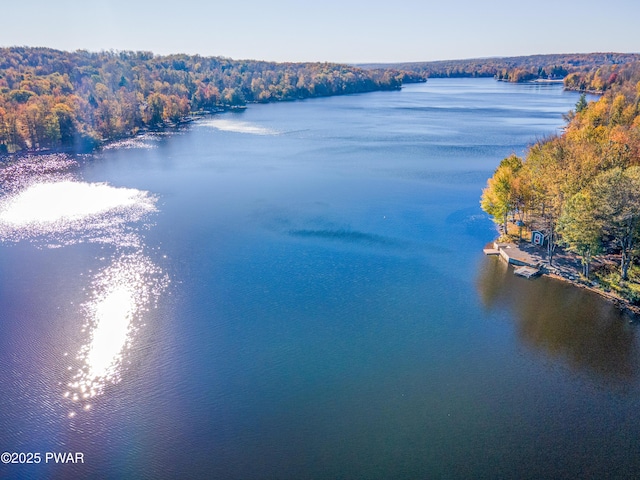 34 Elmwood Ct, Lake Ariel, PA 18436 - photo 42