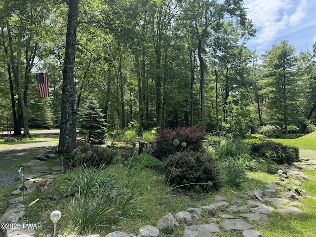 9 N Star Ct, Hawley, PA 18428 - photo 29