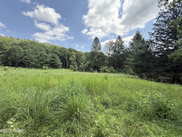 50 River Edge Ln, Beach Lake, PA 18405