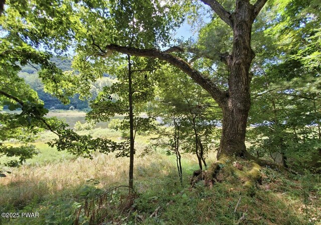 50 River Edge Ln, Beach Lake, PA 18405