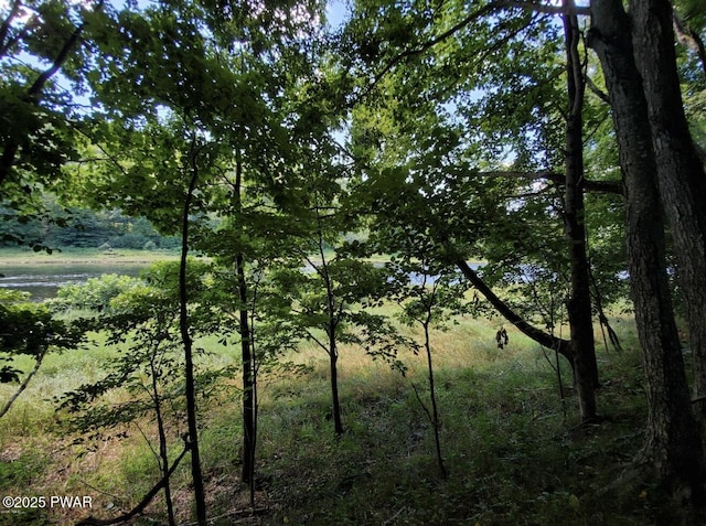 50 River Edge Ln, Beach Lake, PA 18405