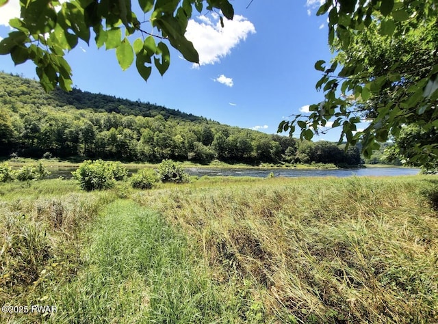 50 River Edge Ln, Beach Lake, PA 18405