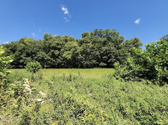 50 River Edge Ln, Beach Lake, PA 18405