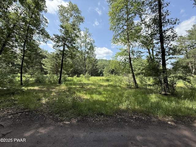 50 River Edge Ln, Beach Lake, PA 18405