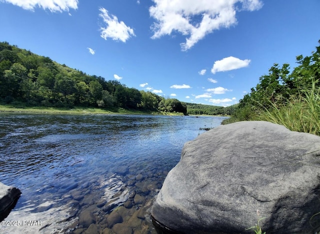 50 River Edge Ln, Beach Lake, PA 18405