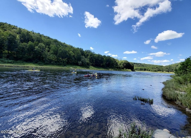 50 River Edge Ln, Beach Lake, PA 18405