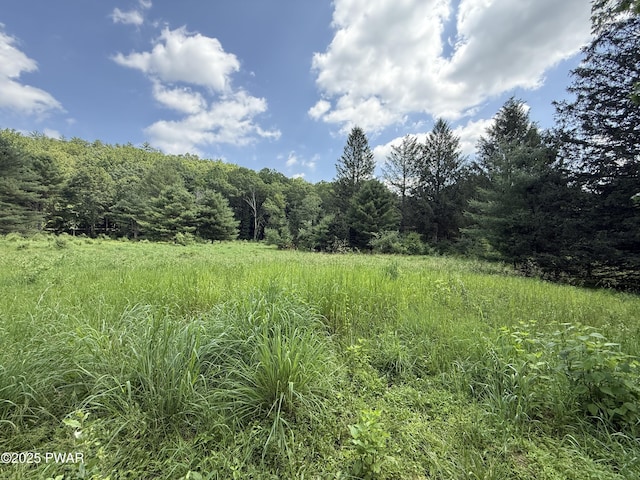 50 River Edge Ln, Beach Lake, PA 18405
