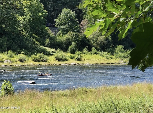 50 River Edge Ln, Beach Lake, PA 18405