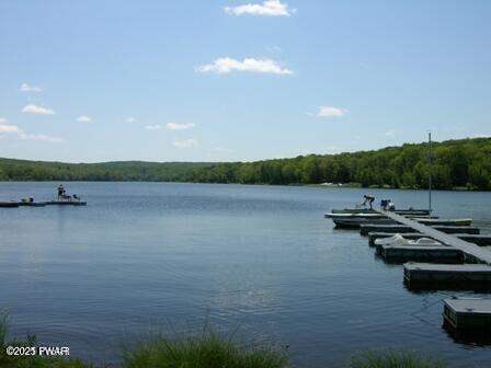 property view of water featuring a dock and a view of trees