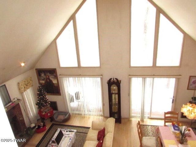 living area featuring high vaulted ceiling and wood finished floors