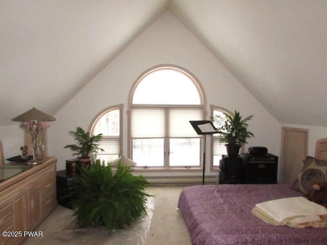 bedroom with lofted ceiling and light carpet