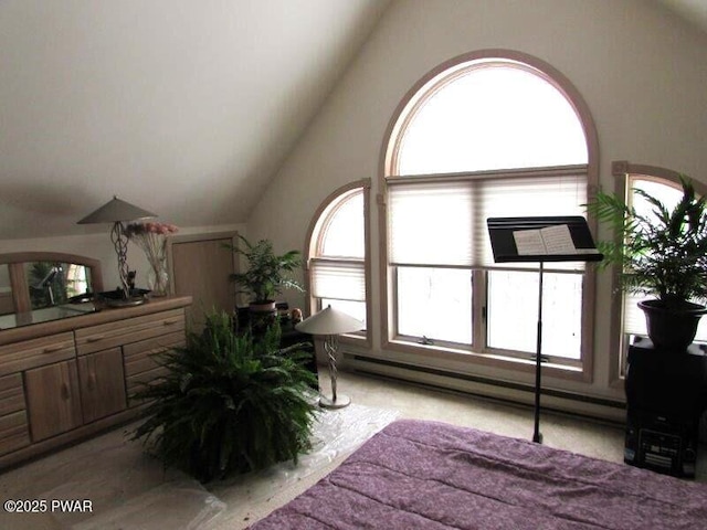 bedroom with multiple windows and vaulted ceiling