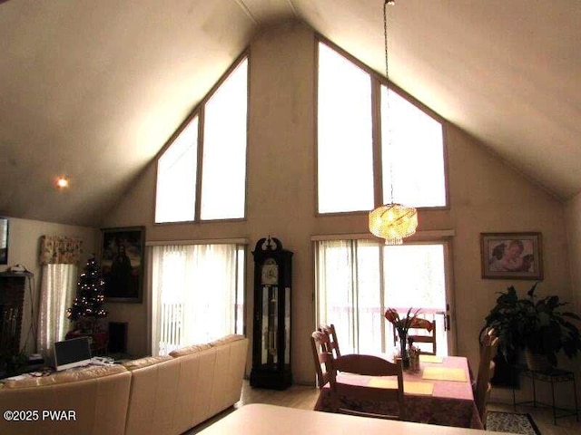 living room with lofted ceiling