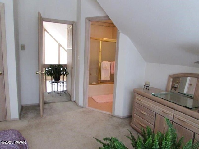 interior space featuring lofted ceiling and an enclosed shower