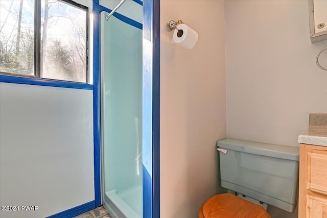 bathroom with a shower, vanity, and toilet