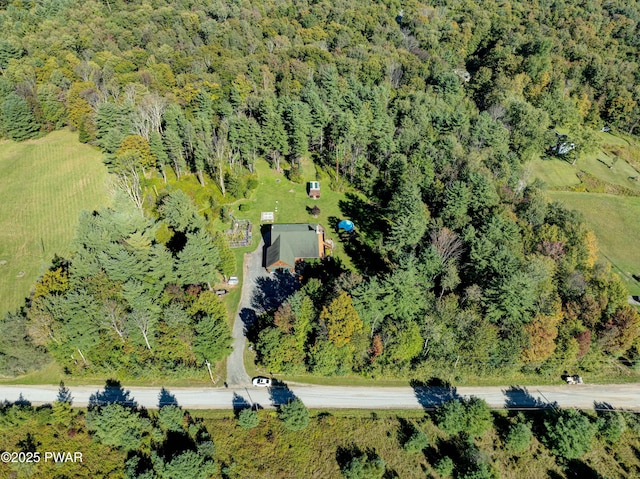 bird's eye view with a view of trees