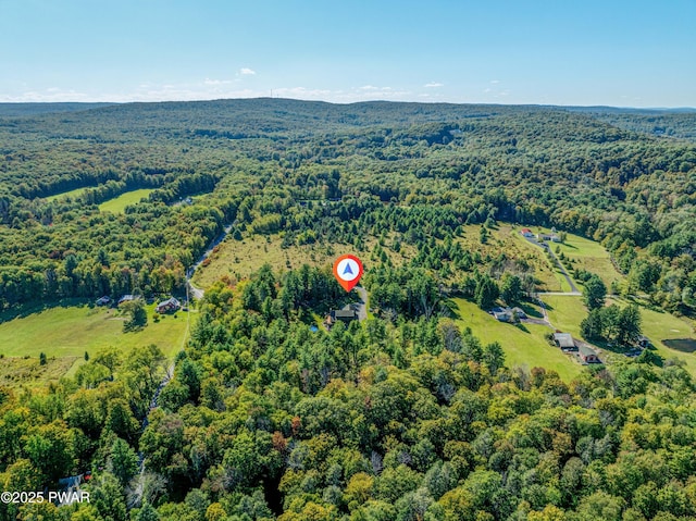 bird's eye view featuring a view of trees