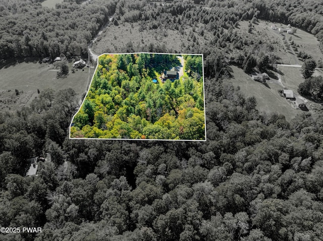 aerial view with a wooded view