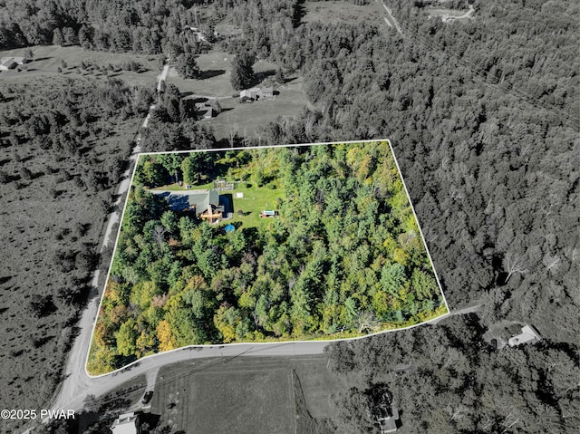 aerial view featuring a wooded view