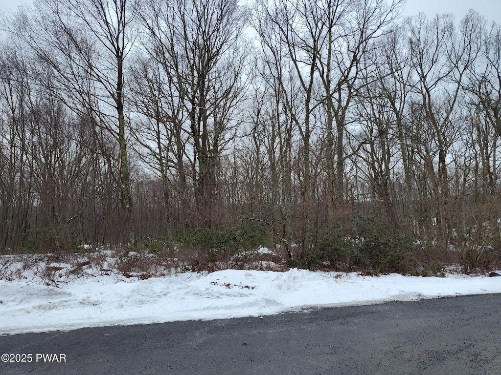 229 Locust Dr, Milford, PA 18337 - photo 3