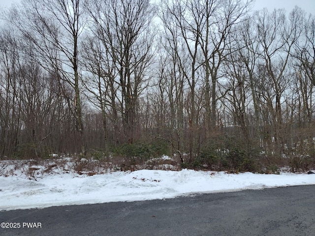 229 Locust Dr, Milford, PA 18337 - photo 3