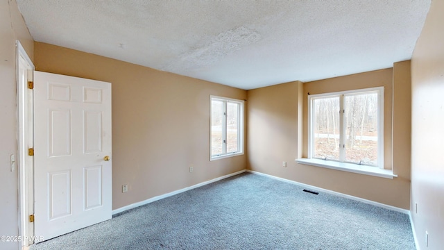 carpeted empty room featuring a textured ceiling and a healthy amount of sunlight