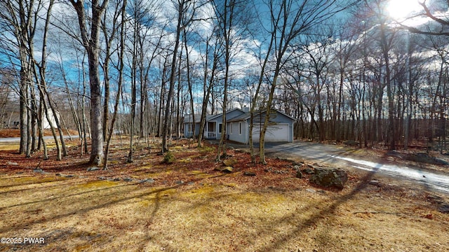 view of yard featuring a garage