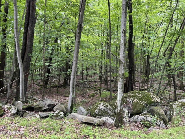 LOT770 Fawn Rd, Hawley, PA 18428