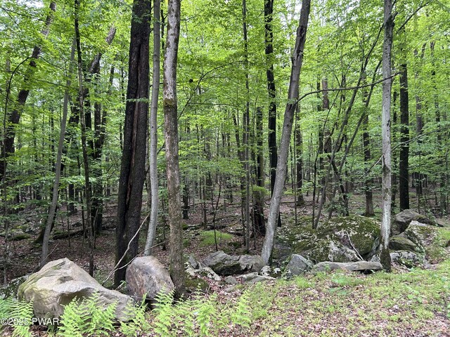 LOT770 Fawn Rd, Hawley, PA 18428