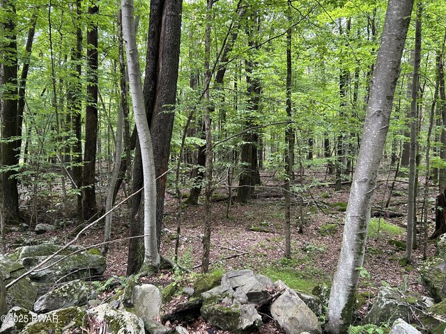 LOT770 Fawn Rd, Hawley, PA 18428