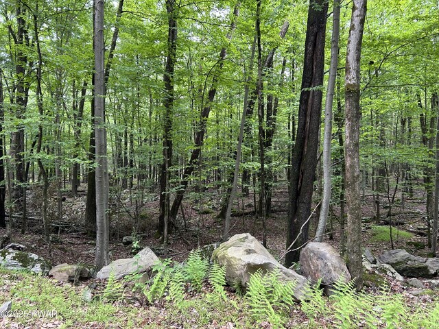 LOT770 Fawn Rd, Hawley, PA 18428