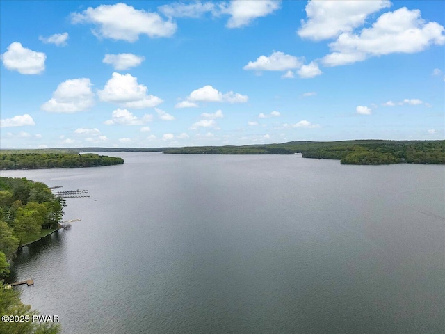 32 White Oak Dr, Lakeville, PA 18438 - water view