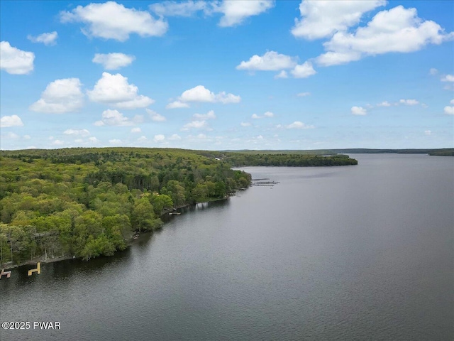 32 White Oak Dr, Lakeville, PA 18438 - water view featuring a forest