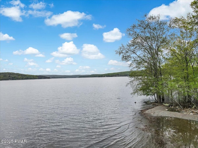 32 White Oak Dr, Lakeville, PA 18438 - water view