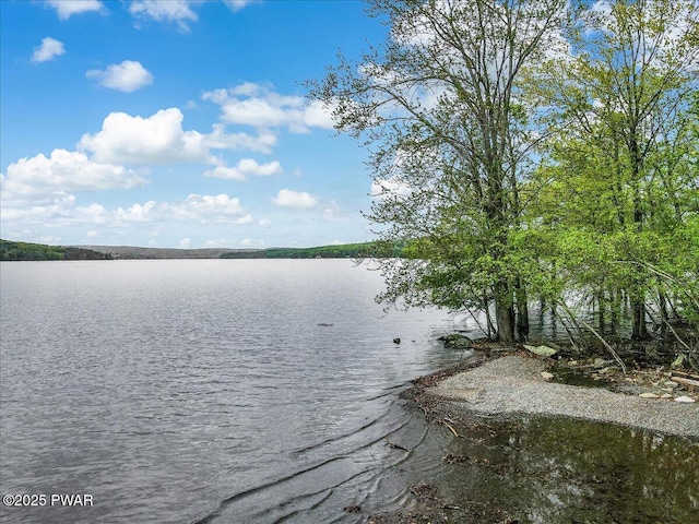 32 White Oak Dr, Lakeville, PA 18438 - water view