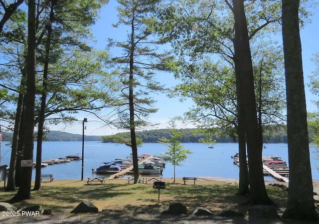 32 White Oak Dr, Lakeville, PA 18438 - water view with a boat dock