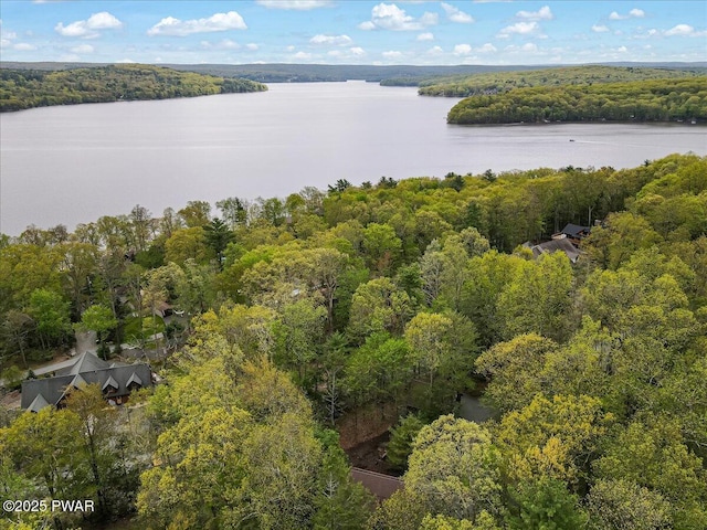32 White Oak Dr, Lakeville, PA 18438 - aerial view of a heavily wooded area and a large body of water
