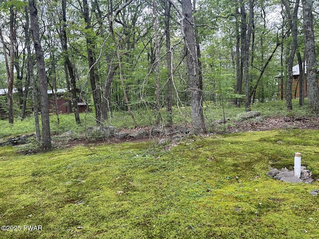 103 Saddlebrook Ln, Lords Valley, PA 18428 - photo 26