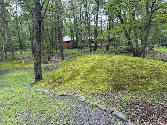 103 Saddlebrook Ln, Lords Valley, PA 18428 - photo 27