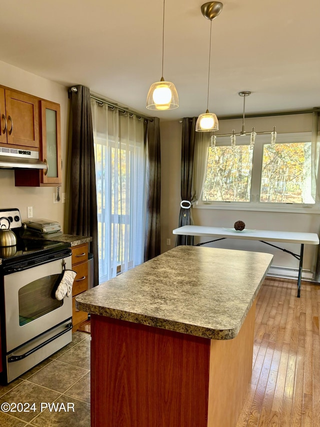 kitchen featuring a wealth of natural light, electric range, exhaust hood, and decorative light fixtures