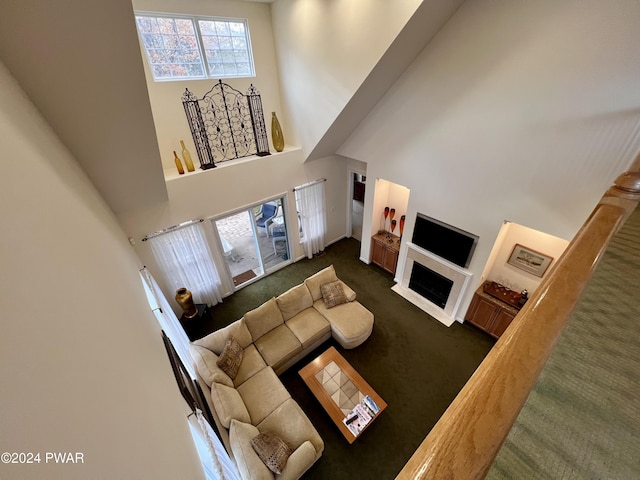 carpeted living room with a high ceiling