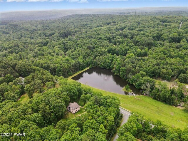 357 Sawkill Rd, Milford, PA 18337 - photo 35