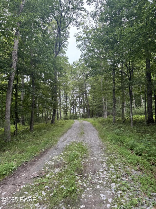 LOT29 Lakewood Dr, Dingmans Ferry, PA 18328 - photo 10