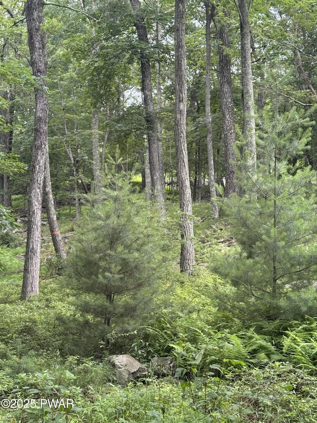 LOT29 Lakewood Dr, Dingmans Ferry, PA 18328 - photo 12