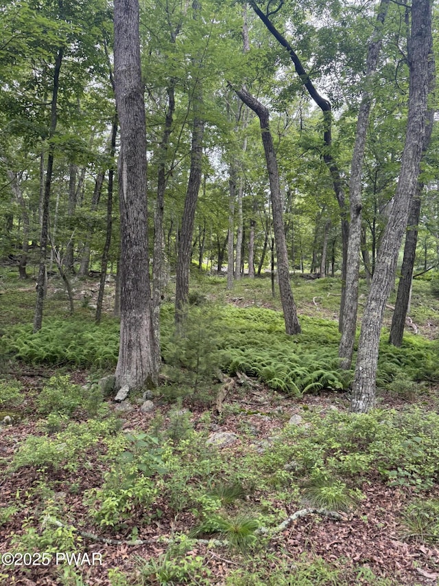 LOT29 Lakewood Dr, Dingmans Ferry, PA 18328 - photo 4