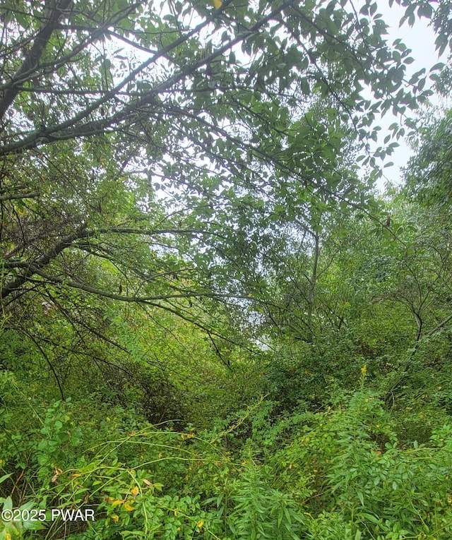 0 Maplewood Rd, Lake Ariel, PA 18436
