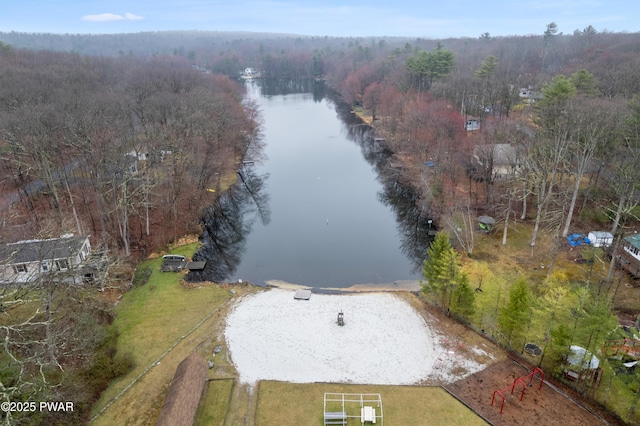 135 Outer Dr, Dingmans Ferry, PA 18328 - bird's eye view of a nearby body of water and a forest